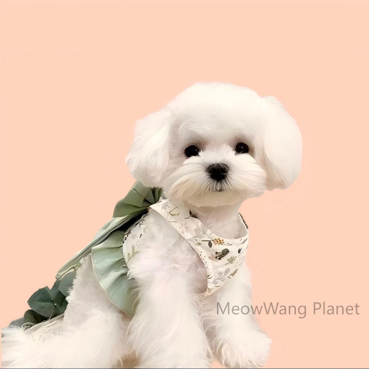 Pets care